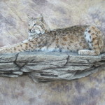 bobcat mount on a rock ledge