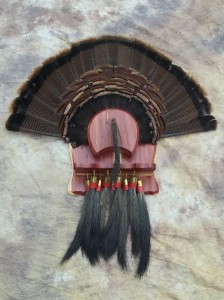 turkeytail