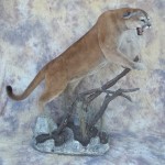 snarling mountain lion mount